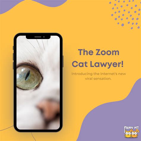 Internet Gold: The Zoom Cat Lawyer – Freaky Pet