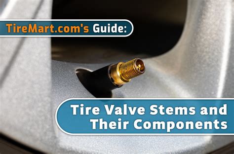 Tire Valve Stems and Their Components Explained (All Types) - TireMart ...