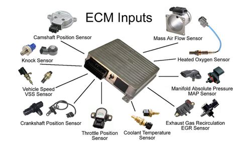 How to test Ecu with a Multimeter in few steps- Meterreviews