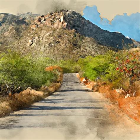 Catalina State Park | Arizona Parks Visitor Guide