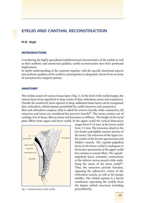 (PDF) EYELID AND CANTHAL RECONSTRUCTION · ANATOMY The eyelids consist ...