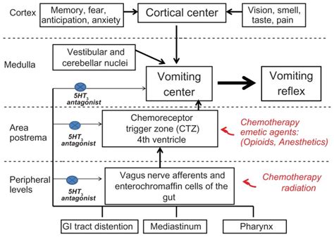 Vomiting: Causes and Mechanism - Overall Science