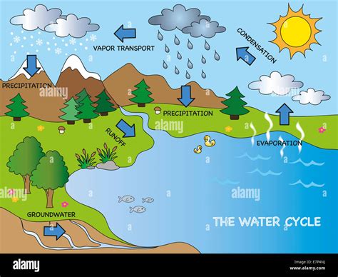 Sublimation Diagram Water Cycle