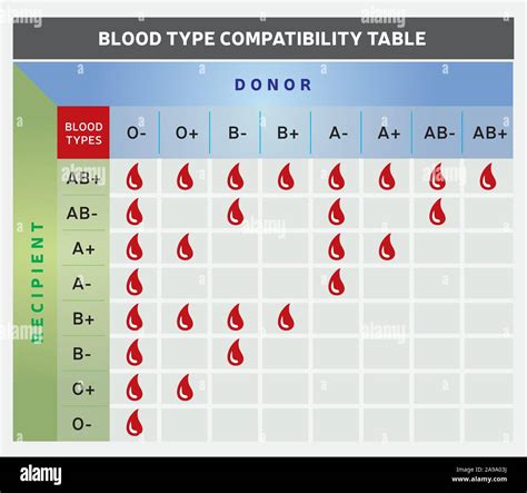 Blood Type Compatibility Table / Chart with Donor and Recipient Groups ...