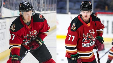 Defensemen Mayo And Soderstrom Recalled By Arizona Coyotes ...