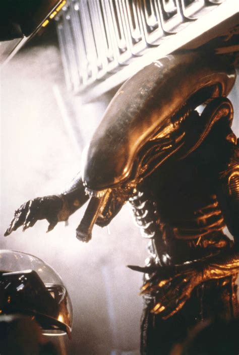 Alien 1979 Xenomorph