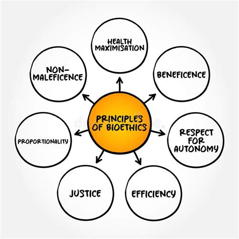 Social Justice Mind Map Stock Illustrations – 28 Social Justice Mind ...