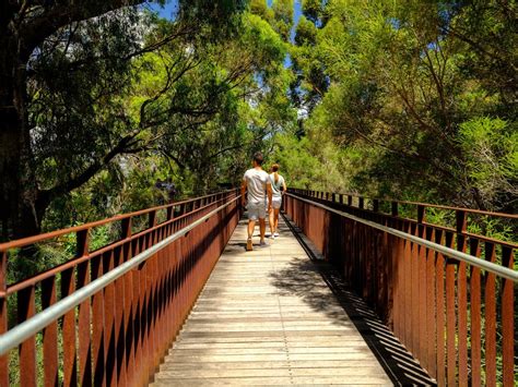 Lotterywest Federation Walkway - Kings Park - West Perth Attractions ...