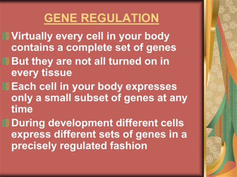 Gene Regulation