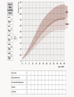 Image result for kitten growth chart weight | Kitten growth chart ...