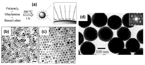 Applied Sciences | Free Full-Text | Fe3O4 Nanoparticles: Structures ...