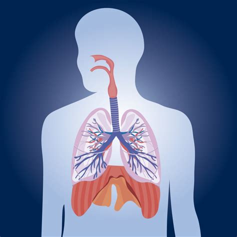 PERSISTENT COUGH AND PHLEGM – Medimart