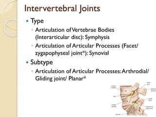 Intervertebral Joint