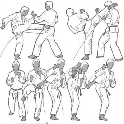 a_mawashi_geri.gif (400×402) | Martial arts techniques, Karate martial ...