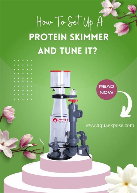 Protein Skimmer Setup and Tuning Guide