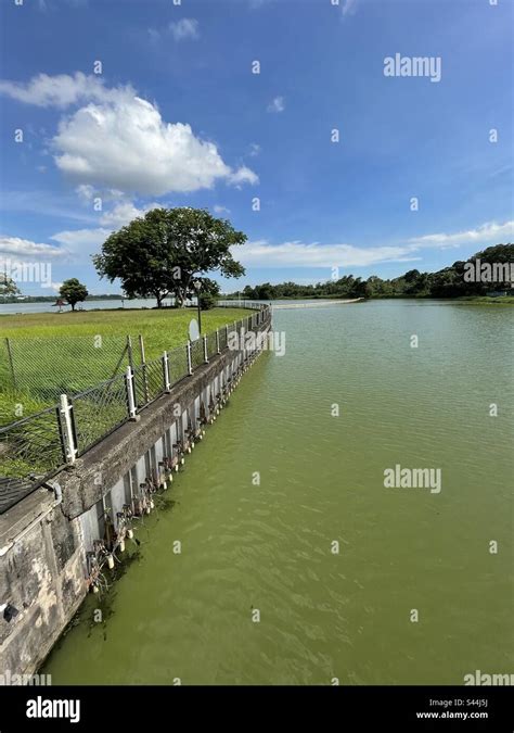 Kranji reservoir singapore hi-res stock photography and images - Alamy