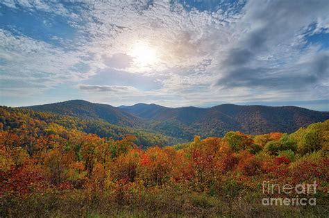 Shenandoah National Park Fall Foliage Photograph by Michael Ver Sprill ...