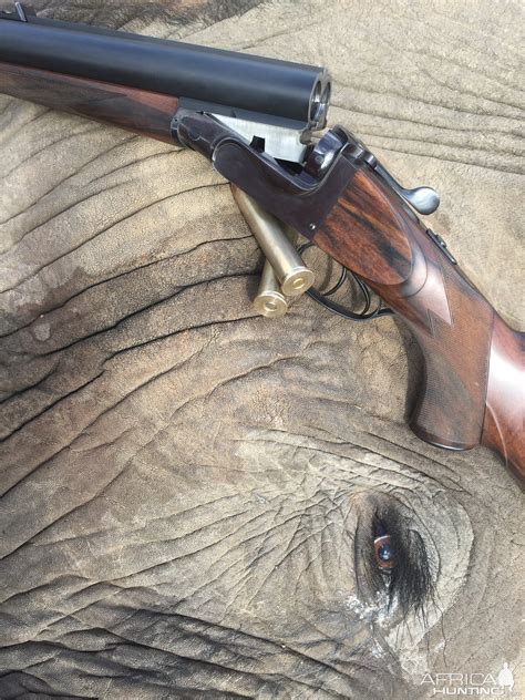 Elephant Gun Double Barrel