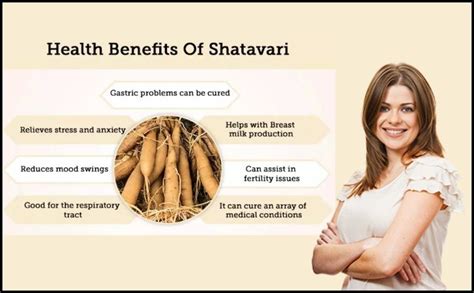 Herbal Hills Shatavari Powder 100 Gm Pack of 2 : Amazon.in: Health ...