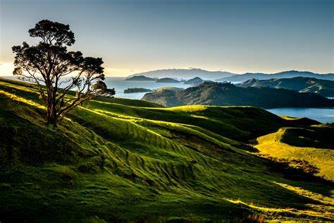 new, Zealand, Scenery, Mountains, Lake, Trees, Coromandel, Nature ...