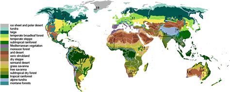 Wetlands Biome Map