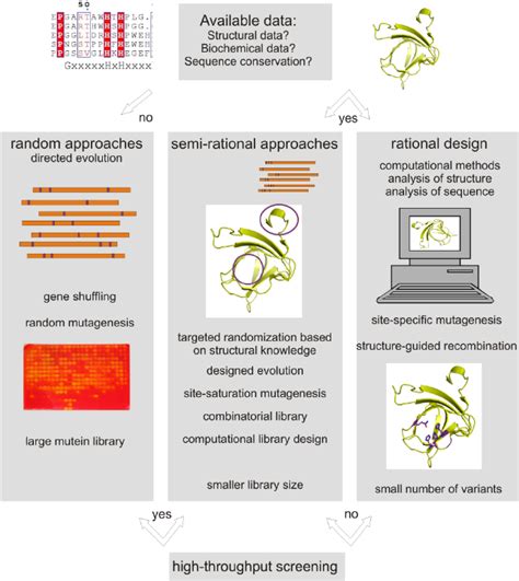 Overview of approaches for protein engineering by random, rational and ...