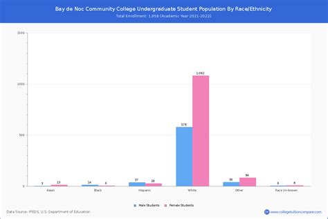 Bay de Noc Community College - Student Population and Demographics