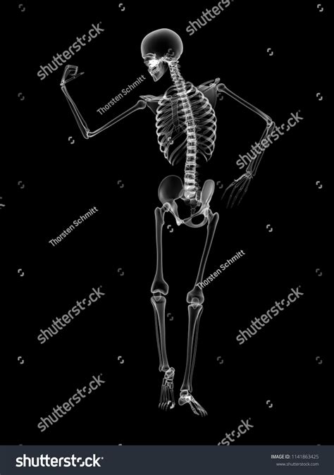 X Ray Human Body 3d Render Stock Illustration 1141863425 | Shutterstock