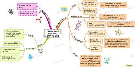 Hướng dẫn Cách vẽ sơ đồ tư duy hóa học Đơn giản và hiệu quả