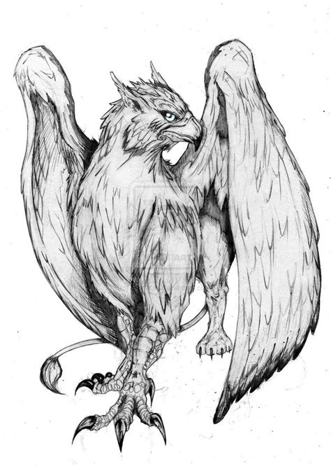 realistic griffin tattoo designs - wordsthatstartwithsk