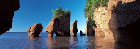 THE BEST 15 Things To Do in New Brunswick | Attractions & Activities ...