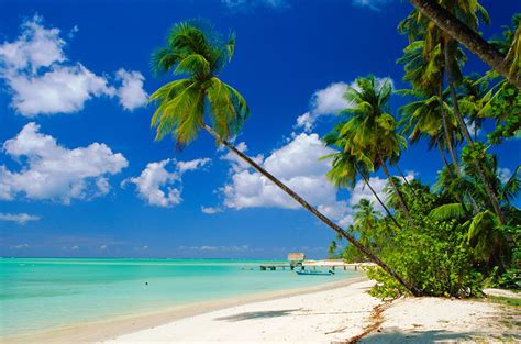 7 Best Beaches in Trinidad and Tobago