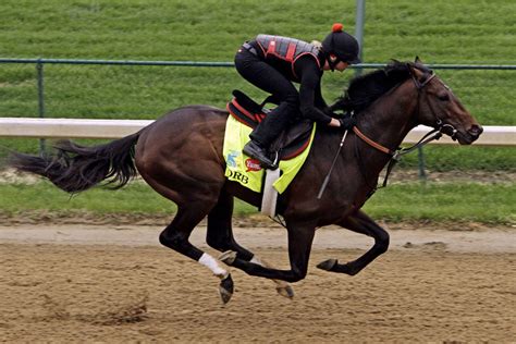 Los básicos que debes saber sobre las carreras de caballos – Revista ...