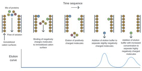 Ion Exchange Chromatography Principle Procedure And Application ...