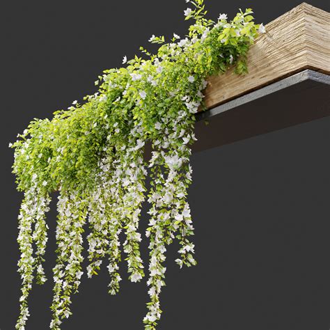 Hanging Plant 19 3D model | CGTrader