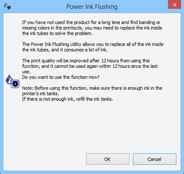 Flushing the Ink Using a Computer Utility