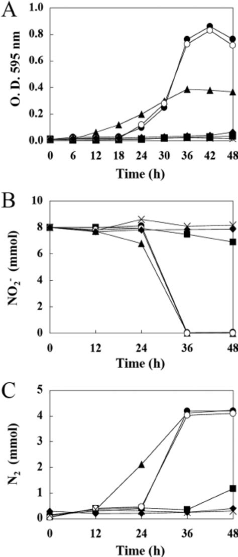 Regulation of denitrifying genes in O . anthropi YD50.2. (A) RT-PCR to ...