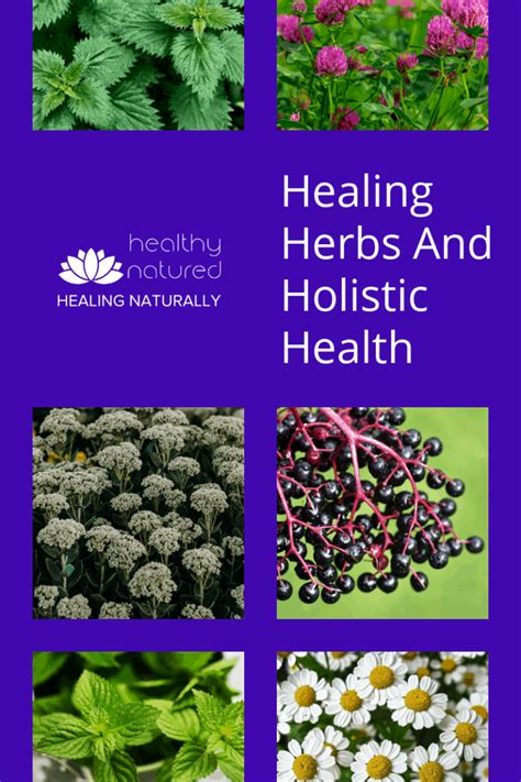 9 Healing Herbs For Your Holistic Health Best Home Remedies