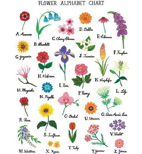 Flowering Plants Names With Pictures