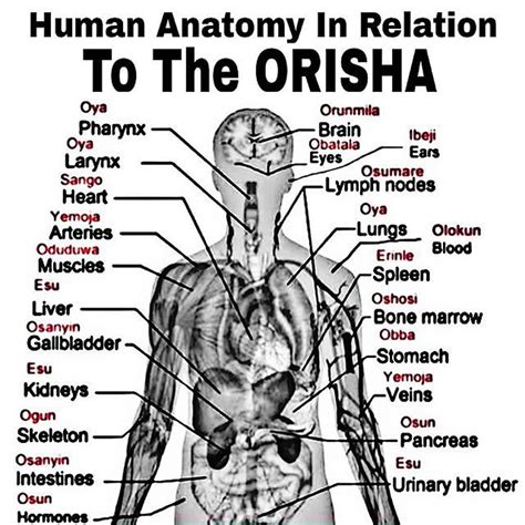 Orisha Colors Chart