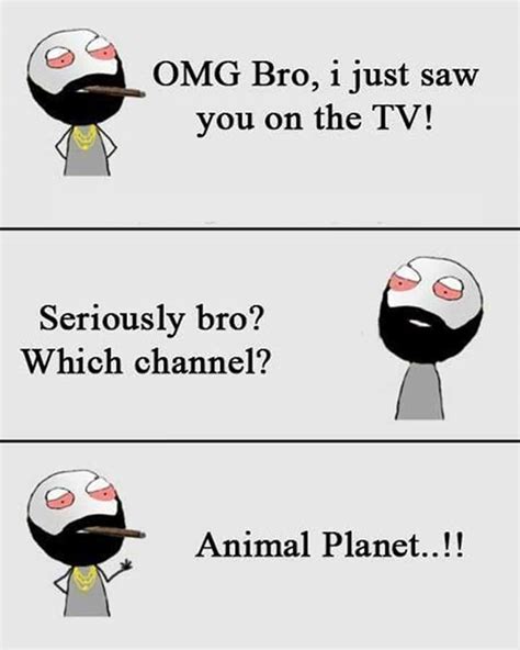 13 best YO BRO images on Pinterest | Jokes, Jokes quotes and Be like bro