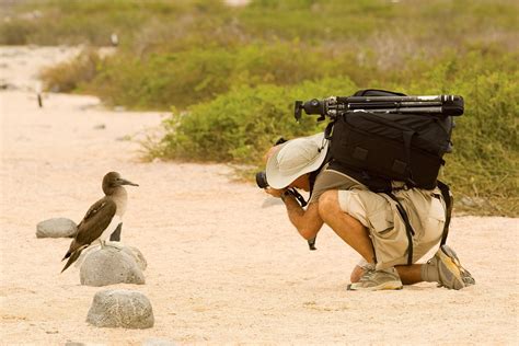 12 Wildlife Photography Tips for Beginners | Celebrity Cruises