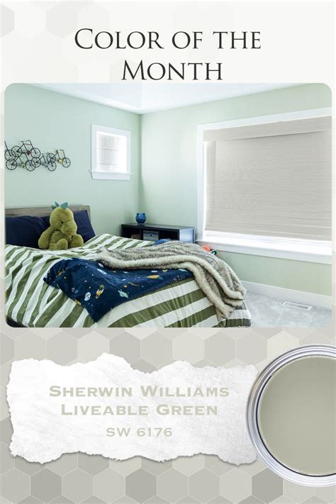 Sherwin Williams Liveable Green - Innovatus Design | Sage green paint ...