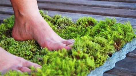 This Moss Shower Mat Lets You Dry Your Feet On Natural Living Moss When ...