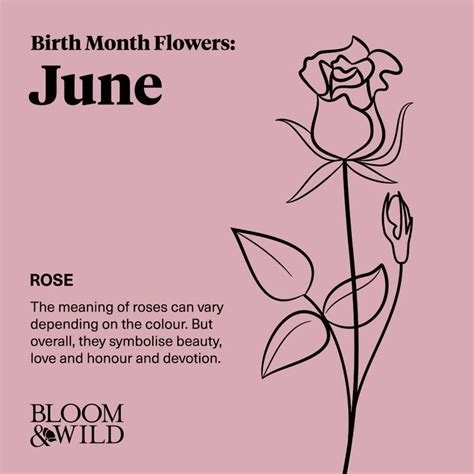 June birth flower rose – Artofit