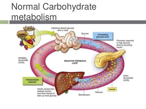 Carbohydrate metabolism in pregnancy