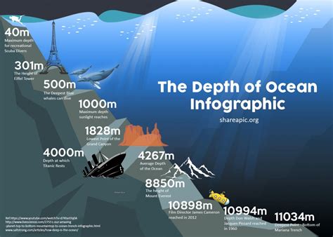 The Depth of Ocean | Infographic