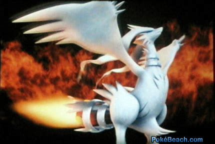 Reshiram - Pokémon Photo (14339253) - Fanpop