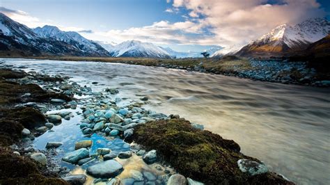 new zealand wildflower scenery | Megapost Wallpapers HD 1920x1080 ...