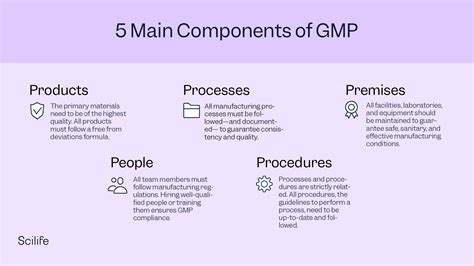 What are the 5 Main Components of GMP? Full definition | Scilife